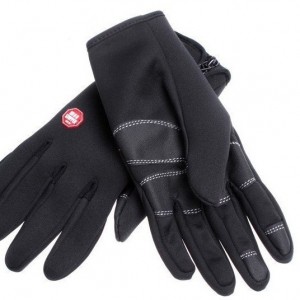winter gloves - windstopper